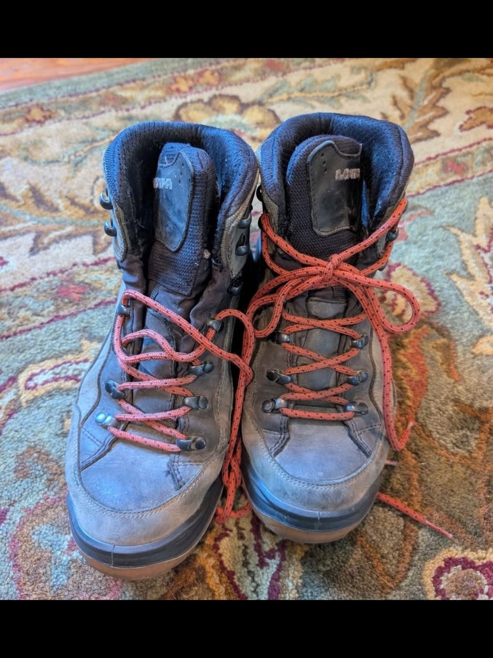 Lowa Renegade GTX